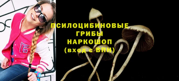 соль ск Гусев