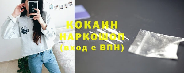 соль ск Гусев