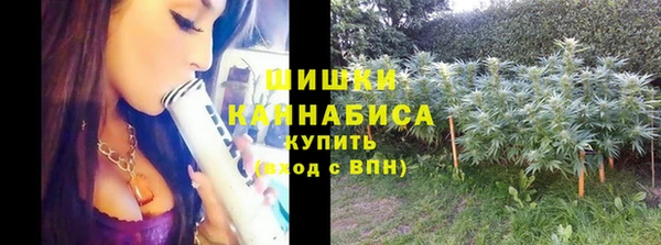 соль ск Гусев