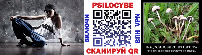 Галлюциногенные грибы прущие грибы  магазин  наркотиков  Дятьково 